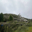 Фото: ПАИ - InformPskov.Ru