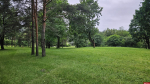 Интерактив: Футбол в Дендропарке
