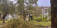 Ураган в Пыталово - InformPskov.Ru