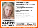 В Великолукском районе пропала пенсионерка