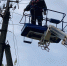 В Палкинском районе продолжаются работы по восстановлению электроэнергии - Pln-Pskov.Ru