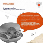 Как сохранить острый ум до старости