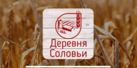 Компания «ПсковАгроИнвест» запускает бесплатный Wi-Fi в магазинах сети «Деревня Соловьи» - Pln-Pskov.Ru