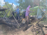 «Создатели истории» истории собрались в новосокольнической деревне Горожане. ФОТОРЕПОРТАЖ 