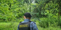 Судебные приставы Псковской области изъяли бензопилу у нарушителя - УФССП
