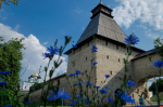 Плоская башня и Поганкины палаты закрыты на санитарный день
