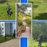 Фото из Telegram-канала главы Стругокрасненского округа Александра Волкова - InformPskov.Ru