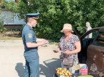 На территории деревни Родина состоялся профилактический   рейд