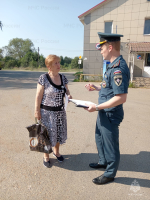 На территории деревни Родина состоялся профилактический   рейд