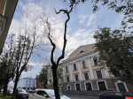 Реплика Константина Калиниченко: Почему в городе «лесоповал»?
