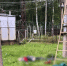 Трагедия в Гдовском районе - InformPskov.Ru