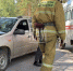 ДТП в Печорском округе - InformPskov.Ru