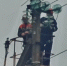 Энергетики восстановили основную сеть в Псковской области после шторма - Pln-Pskov.Ru