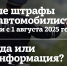Инфографика здесь и далее: ПАИ - InformPskov.Ru