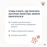 Что делать, если в аптеке нет льготных лекарств