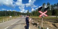 Задержан водитель автобуса, допустивший столкновение с поездом в Ленобласти - Pln-Pskov.Ru