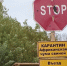 Комитет по ветеринарии предупреждает о серьезной угрозе распространения африканской чумы свиней - ГТРК Псков