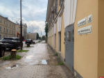 Останется зеленым