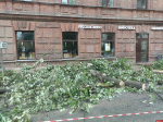 Останется зеленым