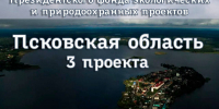 Три заявки Псковской области одержали победу в конкурсе президентского фонда экологических и природоохранных проектов - Pln-Pskov.Ru