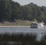 Фото: ПАИ - InformPskov.Ru