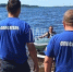 Фото здесь и далее: телеграм-канал «Псковская сводка. ПАИ» - InformPskov.Ru
