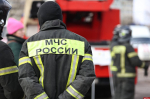 Минометную мину идентифицировали вблизи невельской деревни Боброво