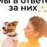 muvotvete110825 2 - Псковская научная библиотека