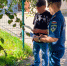 Профилактика пожарной безопасности в Красногородском муниципальном округе - МЧС Псковской области