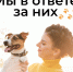 Фото: Псковская областная библиотека имени В. Я. Курбатова - InformPskov.Ru