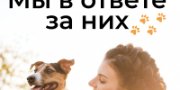 Фото: Псковская областная библиотека имени В. Я. Курбатова - InformPskov.Ru