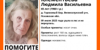 Медведя заметили при поиске пропавшей в лесу великолучанки - Pln-Pskov.Ru