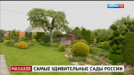 Печерянка и пскович стали гостями программы «Малахов»