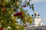Фото: ПАИ