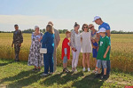День картофельного поля Псковской области. ФОТОРЕПОРТАЖ 