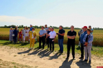 День картофельного поля Псковской области. ФОТОРЕПОРТАЖ 