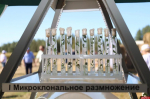 День картофельного поля Псковской области. ФОТОРЕПОРТАЖ 