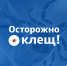 Время клещей и советов по безопасности - МЧС Псковской области