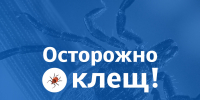 Время клещей и советов по безопасности - МЧС Псковской области
