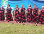 В Пушкиногорском районе прошли торжества в честь Дней малой Родины