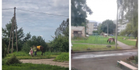 Живущая на третьем этаже псковская семья завела в квартире лошадь - Комсомольская правда