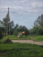 Фото предоставлено местной жительницей