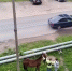 По факту нахождения лошади в квартире в псковских Писковичах составлен протокол - Pln-Pskov.Ru