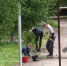 За время каникул в Новоржевском округе трудоустроили 28 школьников - Pln-Pskov.Ru