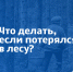 Собирайся в лес – с умом - МЧС Псковской области