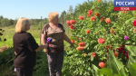 Галина Баранова из деревни Стехны может стать лучшим цветоводом.