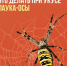 Атака паука осы - InformPskov.Ru