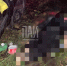 ДТП в Островском районе - InformPskov.Ru