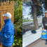 Дачный вопрос с ЛДПР - ЛДПР