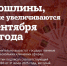 Госпошлины, которые увеличиваются с 1 сентября - InformPskov.Ru